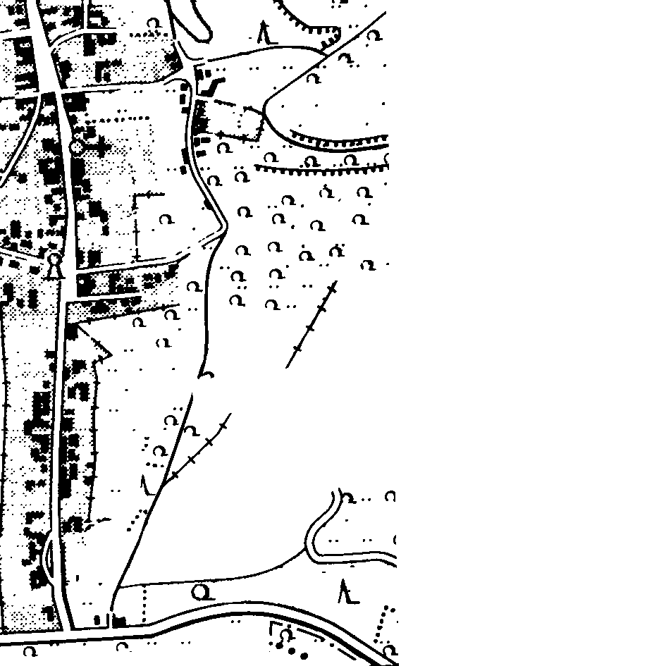 l11